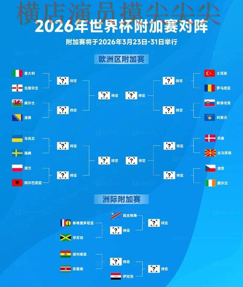 World Cup 2026期间热门世界杯竞猜平台揭秘与用户反馈分析